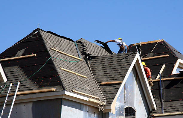 Best Storm Damage Roof Repair  in Champaign, IL