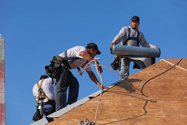 Best Heating Cable for Roof Installation  in Champaign, IL