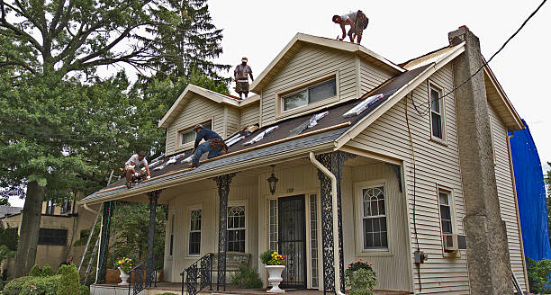 Best Roof Maintenance Services  in Champaign, IL