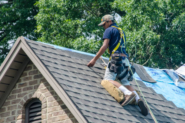 Best Residential Roofing Contractor  in Champaign, IL